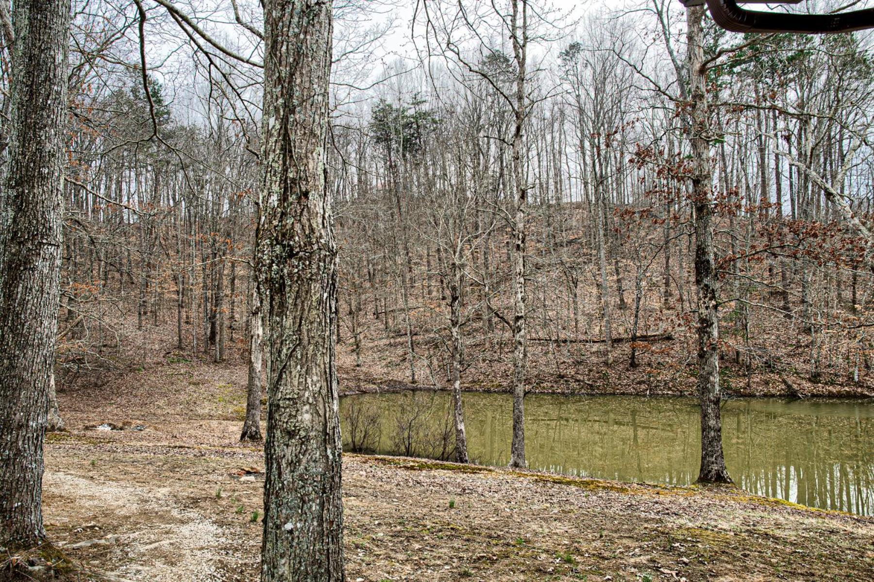 Private Cabin-Country Setting-Views-2 Bd 1 Ba Sleeps 6-8 Beattyville Exterior photo