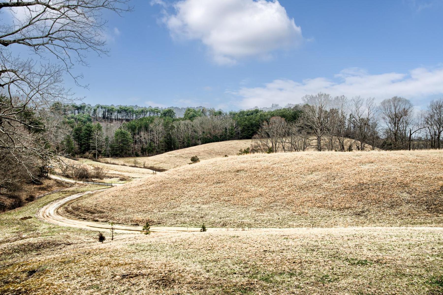 Private Cabin-Country Setting-Views-2 Bd 1 Ba Sleeps 6-8 Beattyville Exterior photo